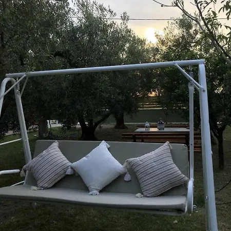 Olive 2 Agios Mamas (Chalkidiki)