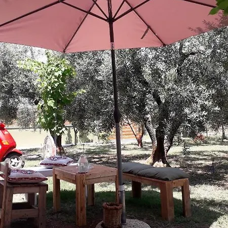 Olive 2 Holiday home *