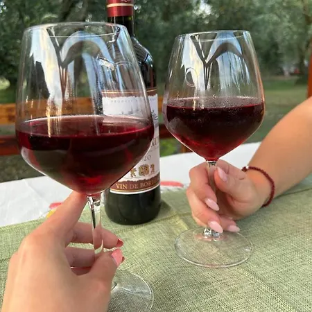 Olive 2 * Agios Mamas (Chalkidiki)