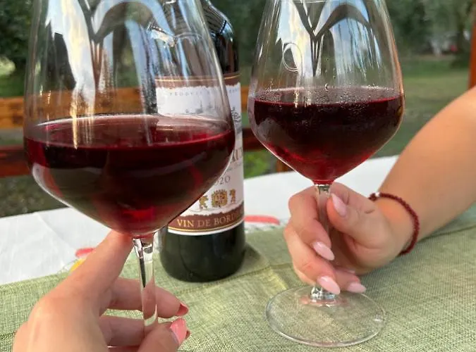 Olive 2 * Agios Mamas (Chalkidiki)