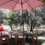 Olive 2 Feriehus *