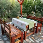 Olive 2 * Agios Mamas (Chalkidiki)