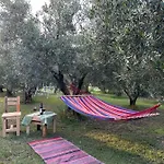 Olive 2 *