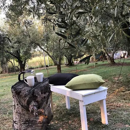 Olive 2 Ferienhaus Agios Mamas (Chalkidiki)