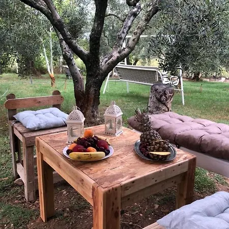 Casa de Férias Olive 2