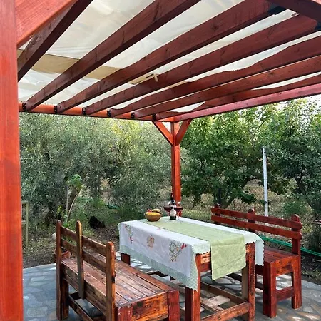Olive 2 Tatil Evi