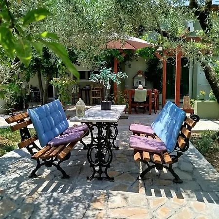 Olive 2 * Agios Mamas (Chalkidiki)