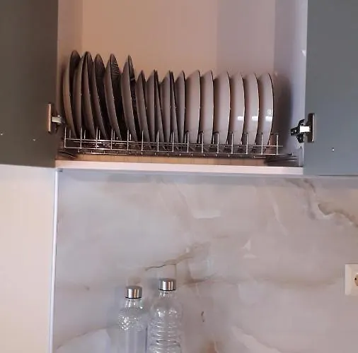 Olive 2 雅伊奥斯马马斯