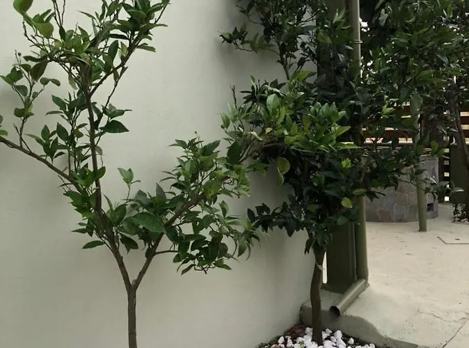 Olive 2 Σπίτι διακοπών Άγιος Μάμας