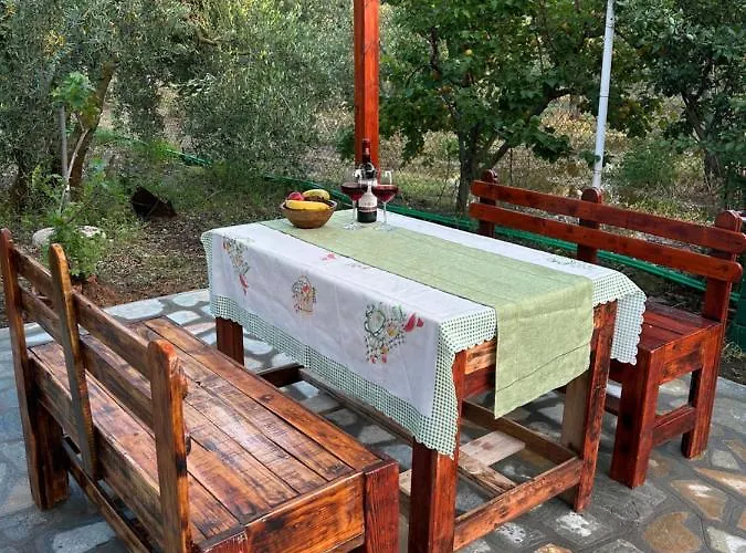 Olive 2 * איוס מאמס