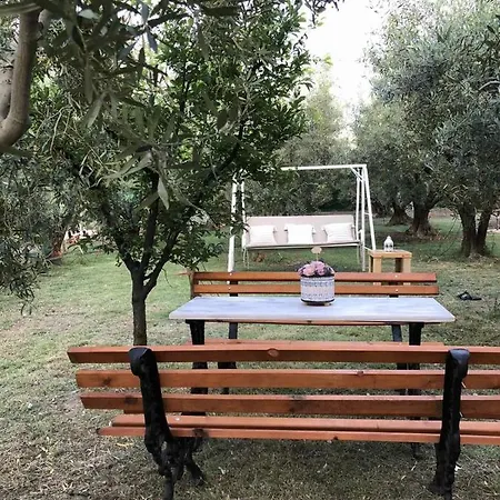 בית נופש Olive 2 איוס מאמס