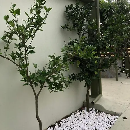 Olive 2 度假居 雅伊奥斯马马斯