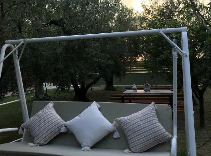 Olive 2 Agios Mamas (Chalkidiki)