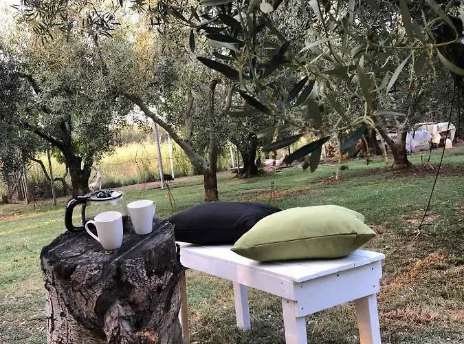 Olive 2 Case de vacanță Agios Mamas (Chalkidiki)