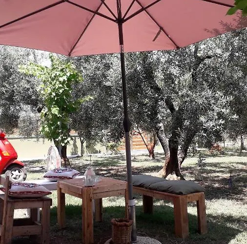 Olive 2 Case de vacanță *