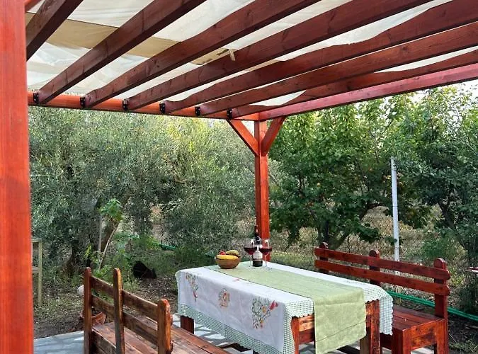 Olive 2 Case de vacanță